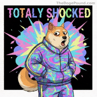 Shiba Inu Wow GIF by Doge Pound