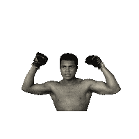 muhammad ali fight STICKER by imoji