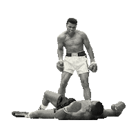 Muhammad Ali Fight Sticker by imoji