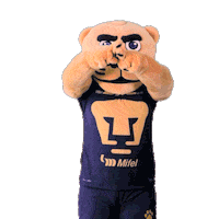 Football Sport Sticker by Pumas MX