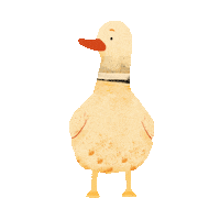 hello_pomelody duck ducklings kaczka pomelody Sticker