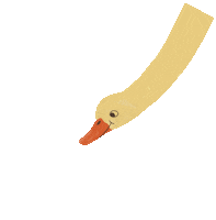 hello_pomelody duck ducklings kaczka pomelody Sticker