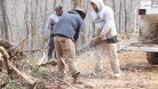 John Deere Tree GIF by JC Property Professionals