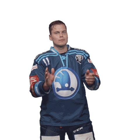 Hockey Applause Sticker by HC Škoda Plzeň