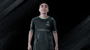 Clap Cs GIF by Sprout