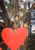 valentines day heart GIF by University of Florida College of Education