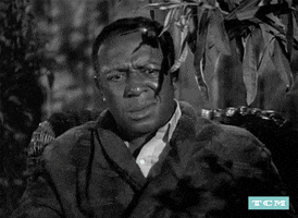 tcm classic film tcm turner classic movies vincente minnelli GIF