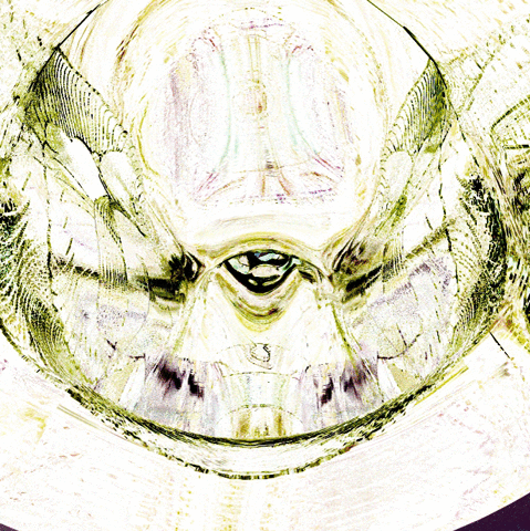 GIF by A.M.T.G. G.G.