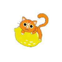 Cat Lemon Sticker by Publilemon