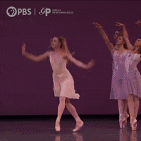 Dance Paris GIF by GREAT PERFORMANCES | PBS