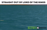 lord of the rings travel GIF by KiwiExperience
