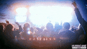 germany crowd GIF by Hurricane Festival