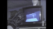 Youtube Film GIF