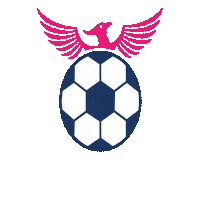 risesoccerclub together we rise rise soccer club rise sc always rise Sticker