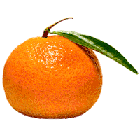 bkkofficial orange healthy vitamin vitaminc Sticker