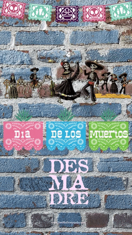 GIF by DesMaDre Tequila