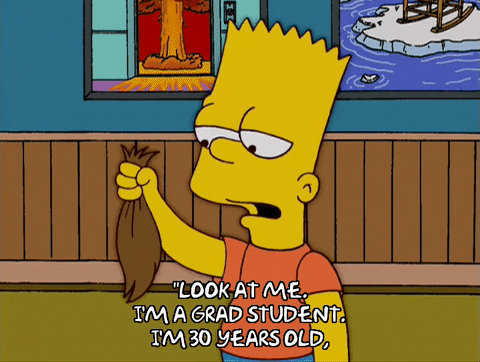 bart simpson episode 20 GIF