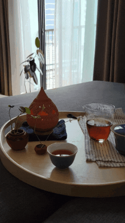 ramonajhunjhnuwala giphygifmaker GIF