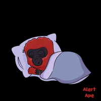 Knock Out GIF by VeeFriends