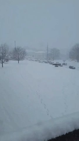 Winter Storm Dumps Record-Breaking Amount of Snow in Kentucky