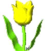flower STICKER by AnimatedText