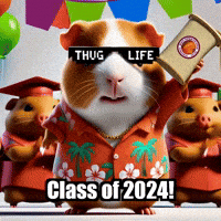Guinea Pig Graduation GIF by Guinea Gambino