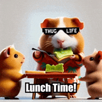 Guinea Pig School GIF by Guinea Gambino