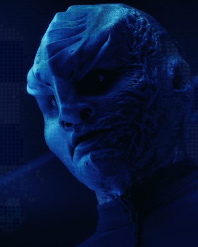 star trek: discovery GIF by NETFLIX