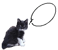 Cat Calico Sticker