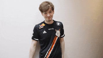 League Of Legends Lol GIF by G2 Esports
