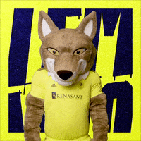 Sad Mascot GIF by Nashville SC