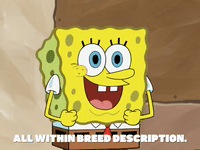 season 6 episode 10 GIF by SpongeBob SquarePants
