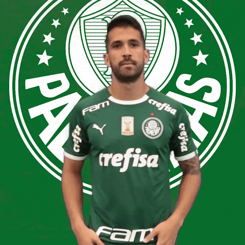 Palmeiras giphyupload soccer futebol vamos GIF
