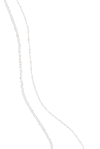 White Line Design Sticker by Anthea Estudio