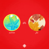 summer fall GIF by CBC