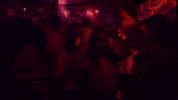 platzhirschbielefeld platzhirsch GIF