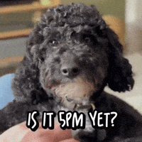 Tired Coffee First GIF