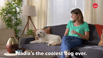 Nadia Is The Coolest Dog Ever