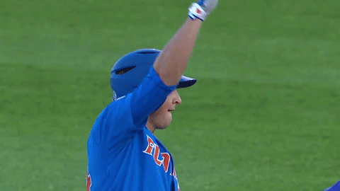 florida gators chomp GIF