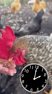 Wintertime Zeitumstellung GIF