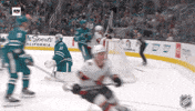 Happy Ottawa Senators GIF by NHL