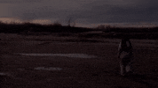 Walking Away GIF by TIFF