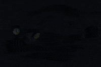 Charlie Brown Halloween GIF by Peanuts