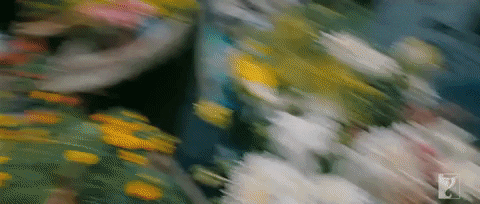 Jab Tak Hai Jaan Bollywood GIF by bypriyashah