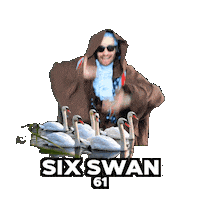 6 1 Swan Sticker