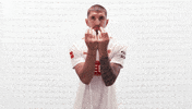 Vfb Stuttgart Football GIF by Bundesliga