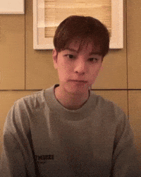 Stray Kids Skz GIF