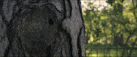 Chris Stuckmann Horror GIF by NEON