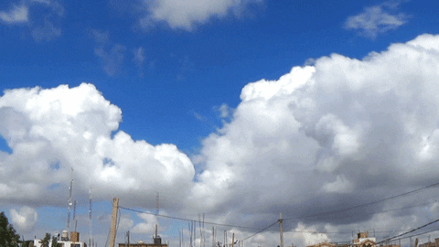 el GIF