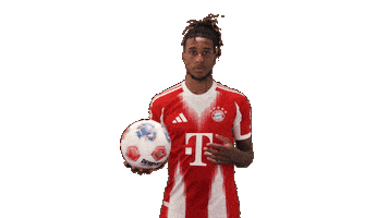 Fc Bayern Football Sticker by Bundesliga